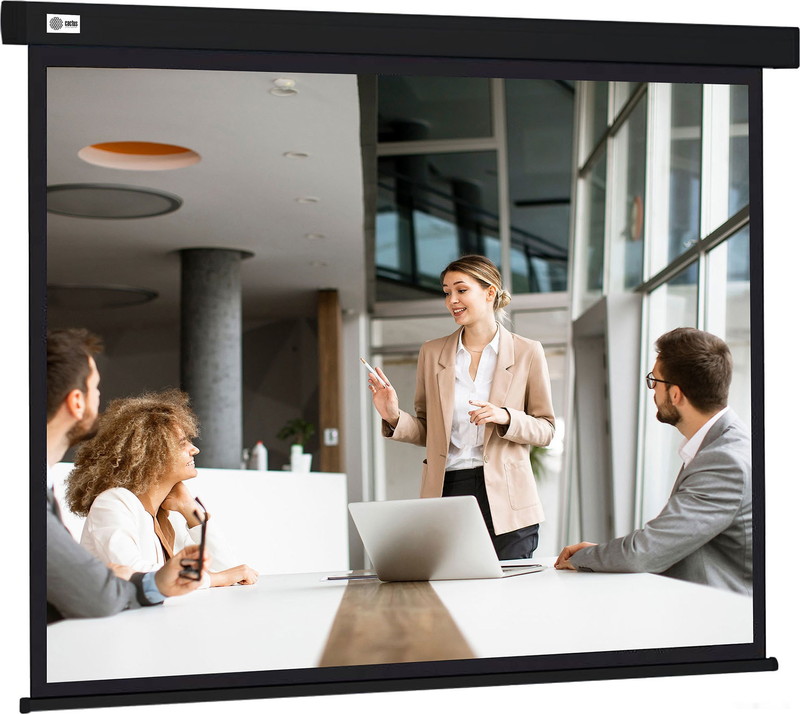 Проекционный экран Cactus Wallscreen 168x299 CS-PSW-168X299-BK