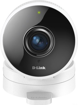 IP-камера D-LINK DCS-8100LH/A1A - фото2