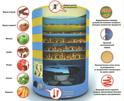 Сушилка для овощей и фруктов Элвин СУ-1 - фото2
