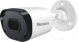 IP-камера Falcon Eye FE-IPC-B2-30p - фото