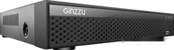 Сетевой видеорегистратор Ginzzu HP-810 - фото