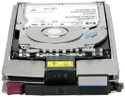 Жесткий диск HP BF450DAJZR - фото