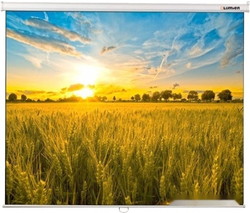 Проекционный экран Lumien Eco Picture 120x160 LEP-100111 - фото