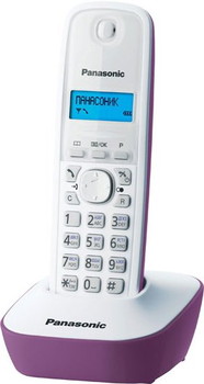 Радиотелефон Panasonic KX-TG1611 F - фото