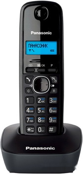 Радиотелефон Panasonic KX-TG1611 H - фото2