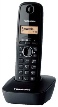 Радиотелефон Panasonic KX-TG1611 H - фото