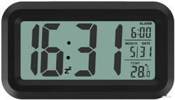 Радиочасы Ritmix CAT-100 (черный) - фото2