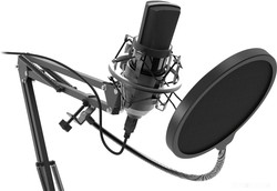 Микрофон Ritmix RDM-169 - фото2