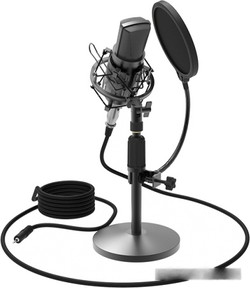 Микрофон Ritmix RDM-175 - фото