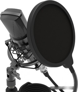 Микрофон Ritmix RDM-175 - фото2