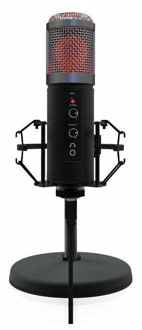 Конденсаторный микрофон Ritmix RDM-260 USB Eloquence