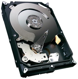 Жесткий диск Seagate ST3000DM001 - фото